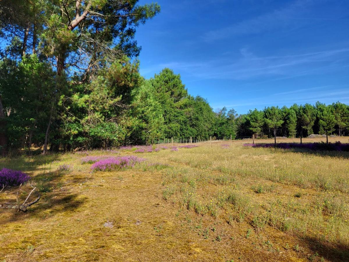 Domaine De La Sarrotte Bed & Breakfast Saugon Dış mekan fotoğraf